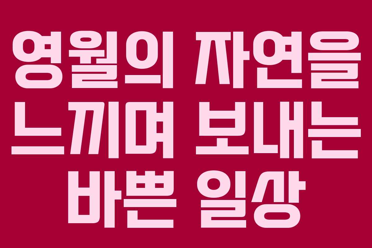 영월의 자연을 느끼며 보내는 바쁜 일상