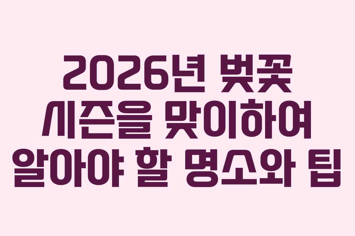 2026년 벚꽃 시즌을 맞이하여 알아야 할 명소와 팁