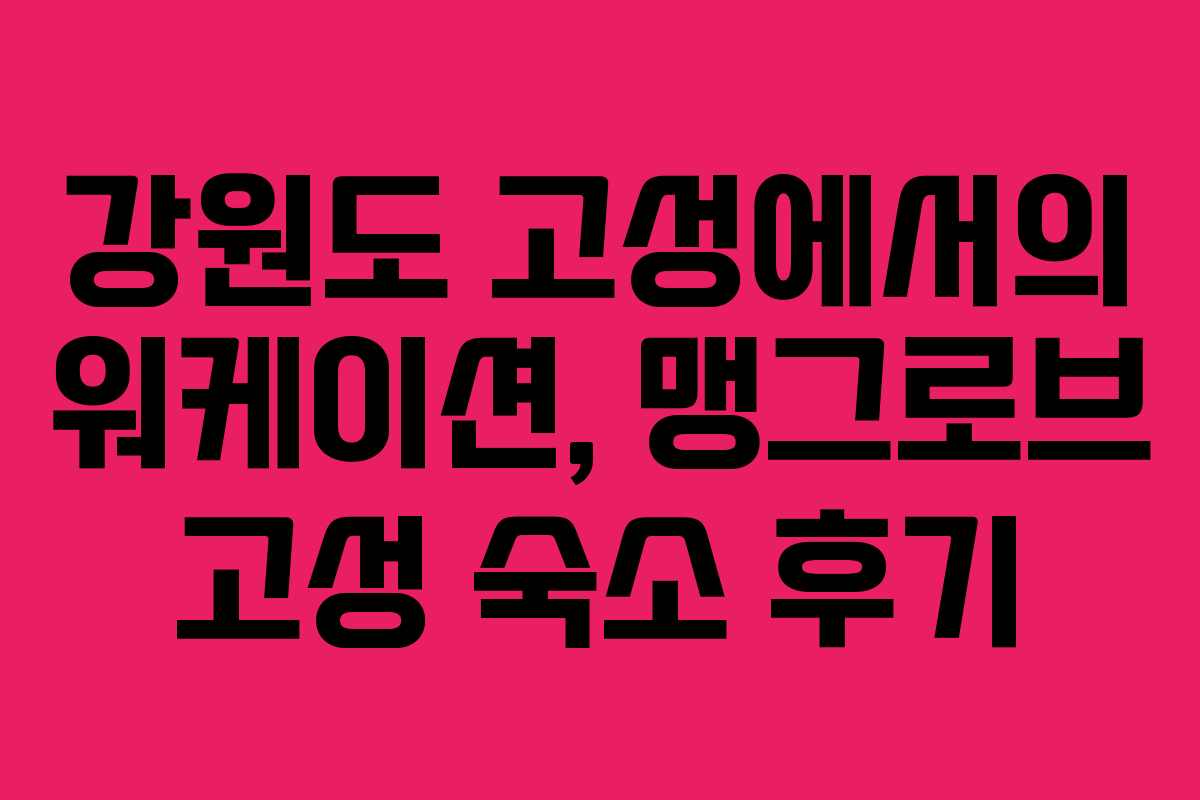 강원도 고성에서의 워케이션, 맹그로브 고성 숙소 후기