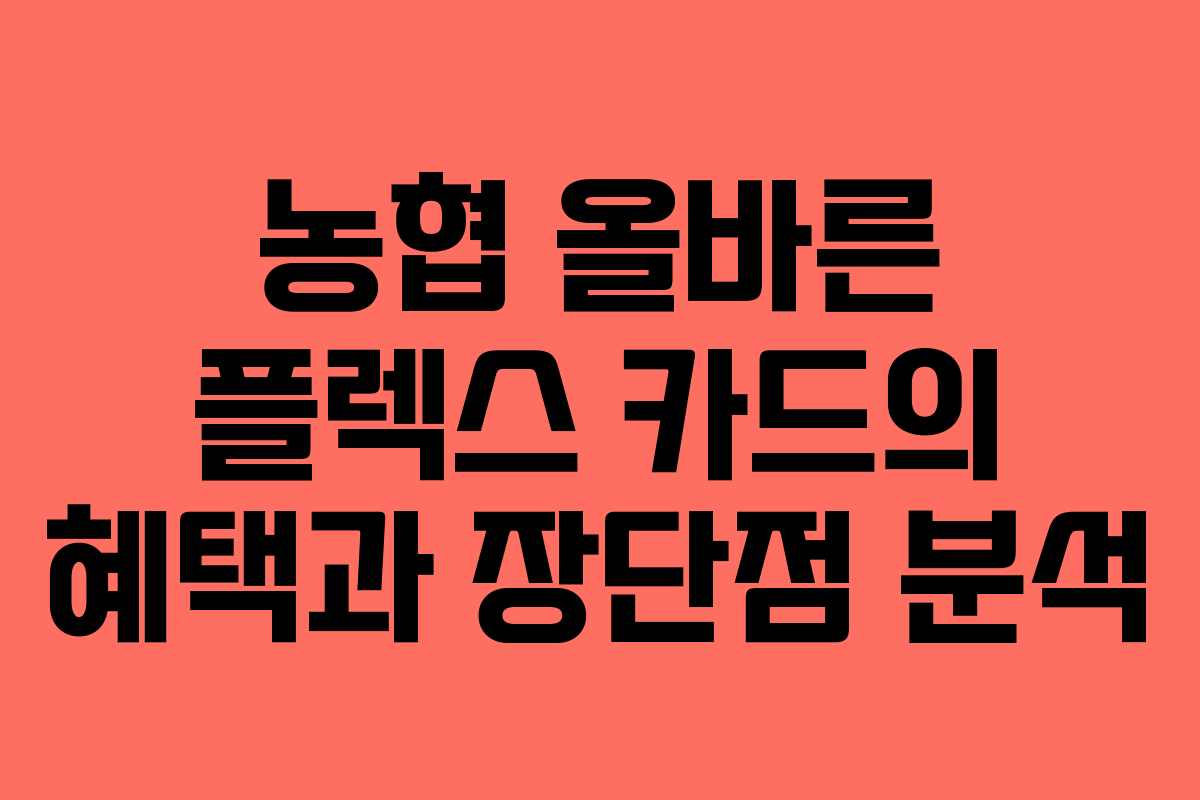 농협 올바른 플렉스 카드의 혜택과 장단점 분석