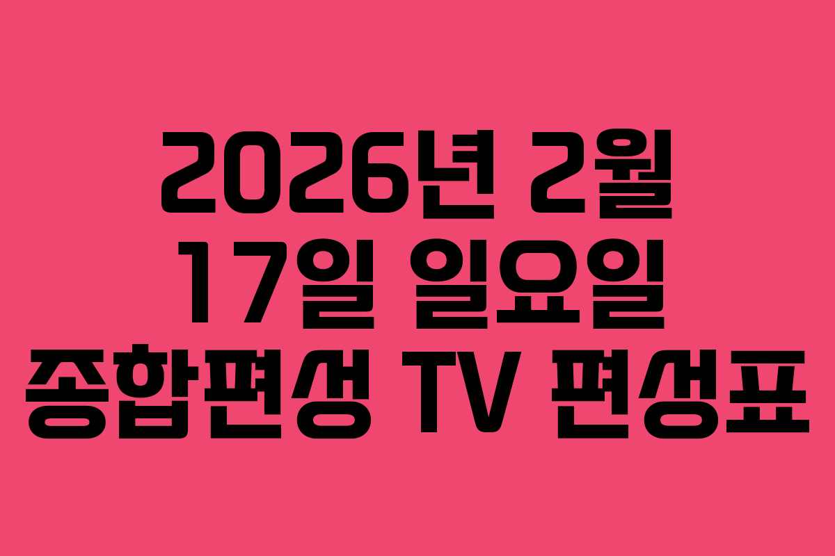 2026년 2월 17일 일요일 종합편성 TV 편성표 2026년 2월 17일 일요일 종합편성 TV 편성표