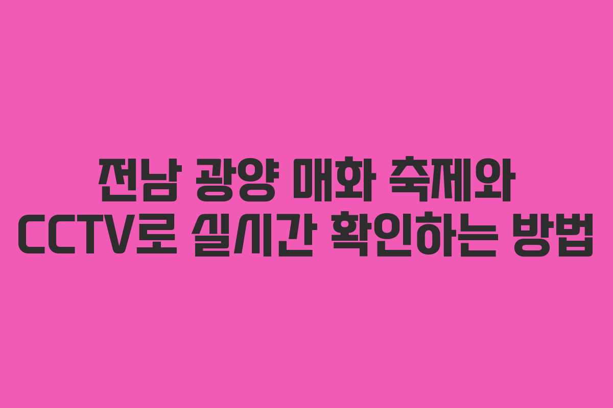 전남 광양 매화 축제와 CCTV로 실시간 확인하는 방법
