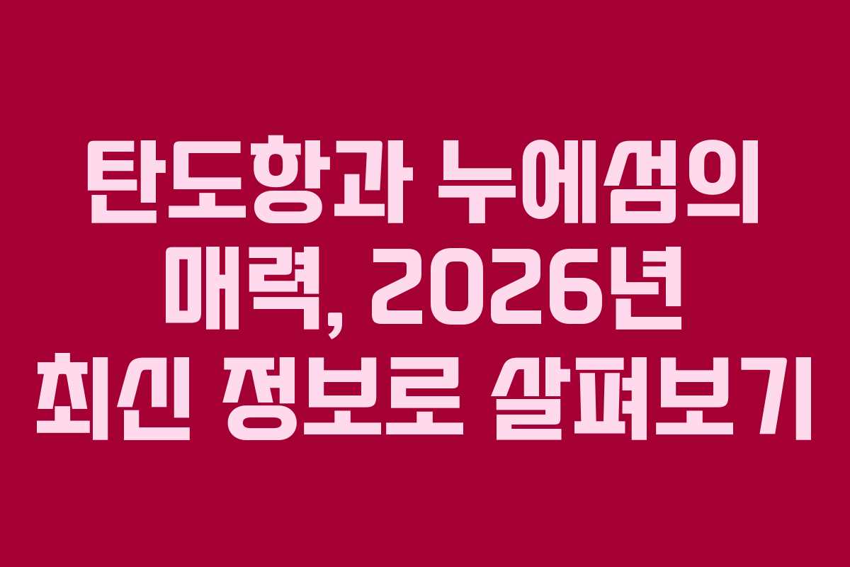 탄도항과 누에섬의 매력, 2026년 최신 정보로 살펴보기
