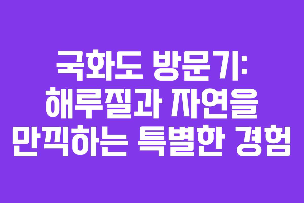 국화도 방문기: 해루질과 자연을 만끽하는 특별한 경험