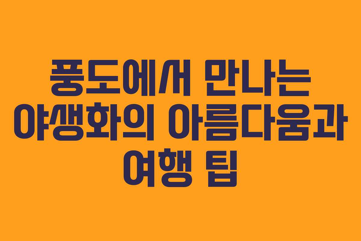 풍도에서 만나는 야생화의 아름다움과 여행 팁