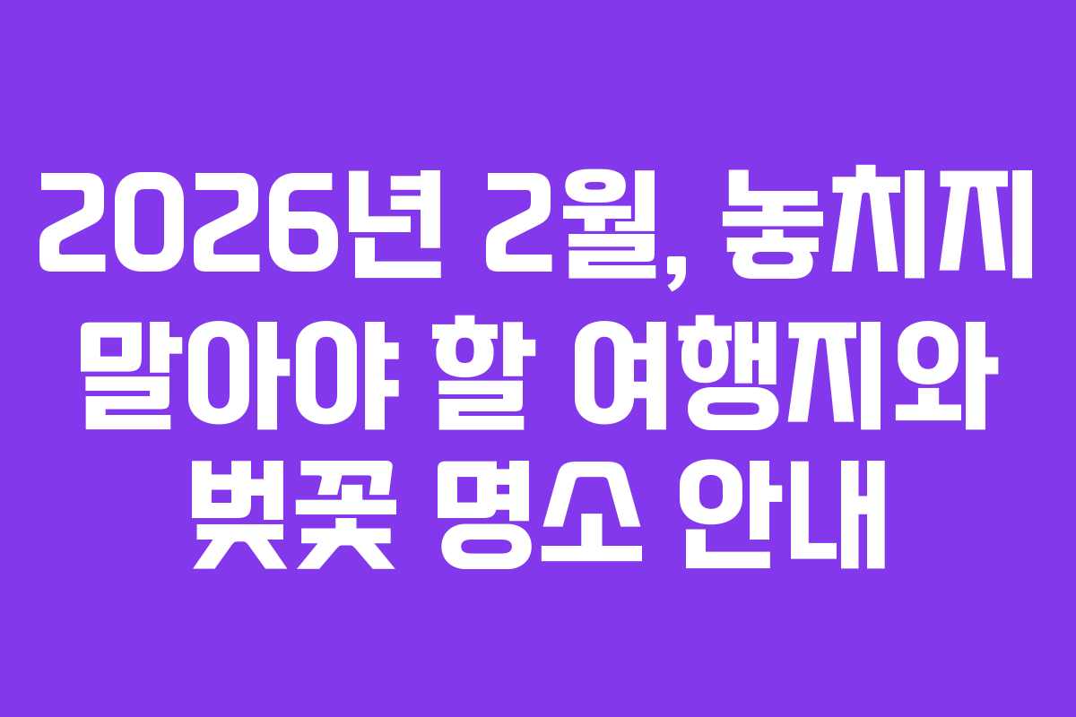2026년 2월, 놓치지 말아야 할 여행지와 벚꽃 명소 안내