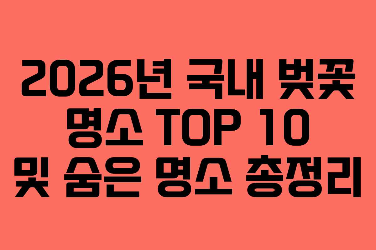 2026년 국내 벚꽃 명소 TOP 10 및 숨은 명소 총정리