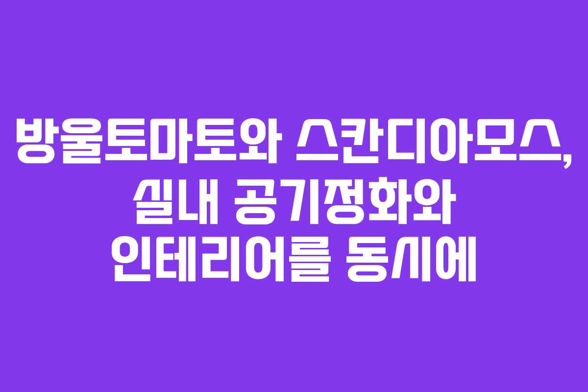 방울토마토와 스칸디아모스, 실내 공기정화와 인테리어를 동시에