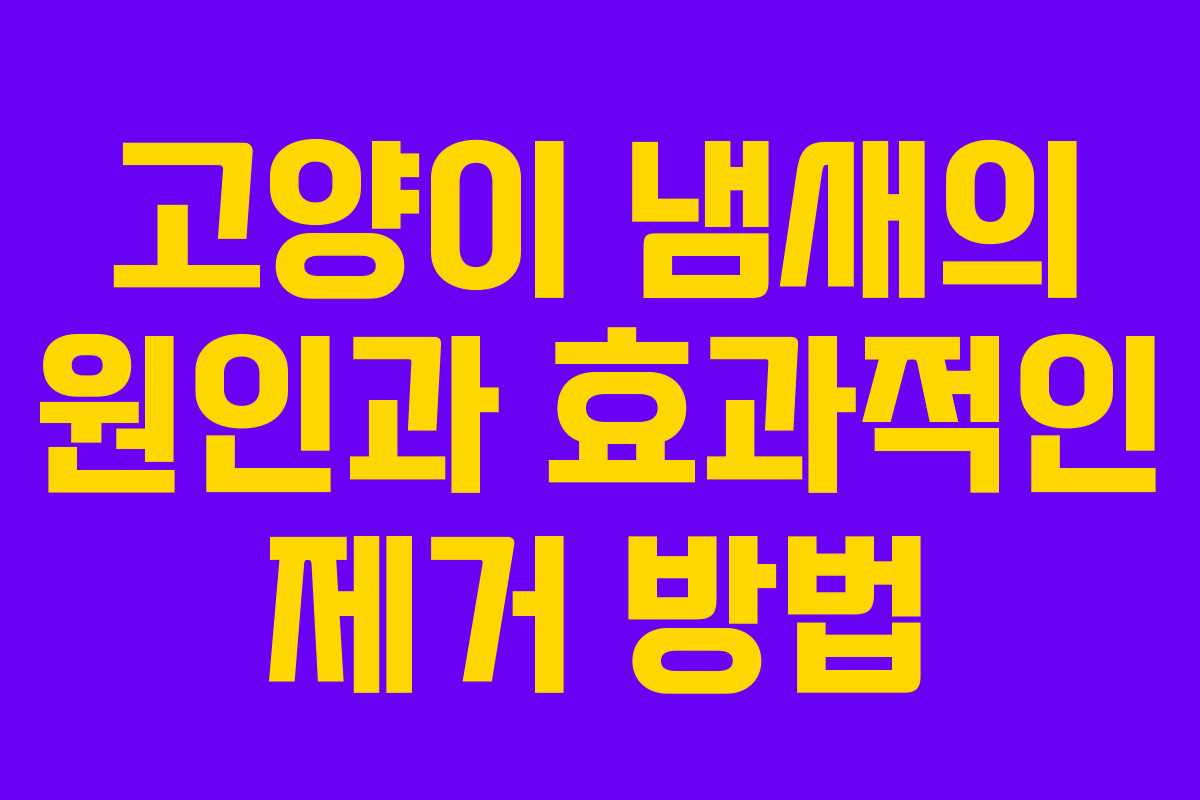 고양이 냄새의 원인과 효과적인 제거 방법