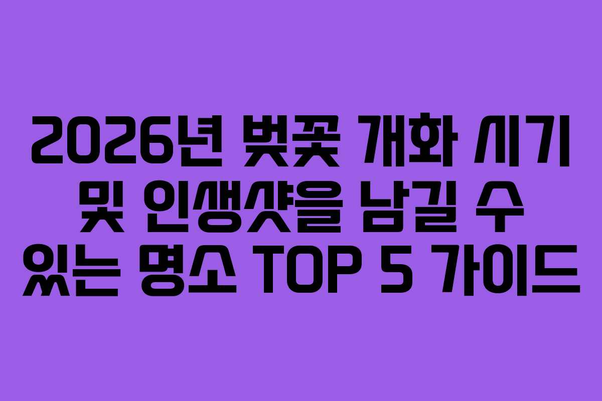 2026년 벚꽃 개화 시기 및 인생샷을 남길 수 있는 명소 TOP 5 가이드