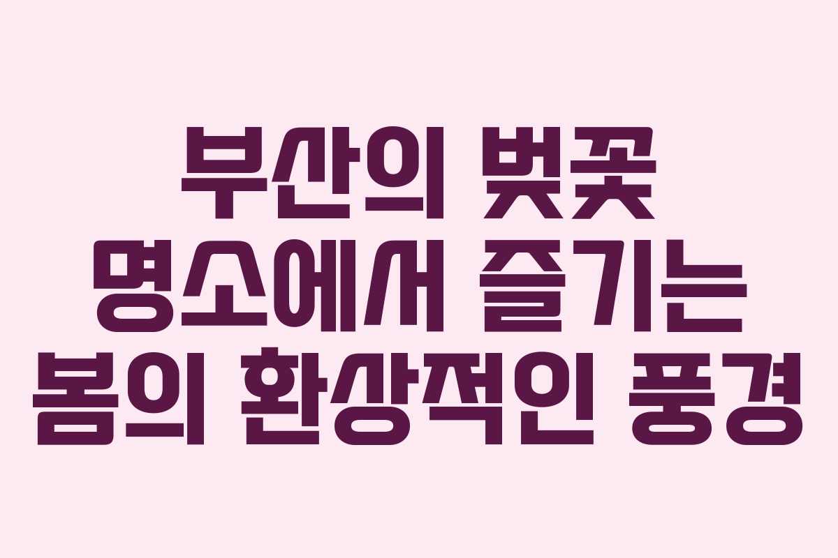부산의 벚꽃 명소에서 즐기는 봄의 환상적인 풍경