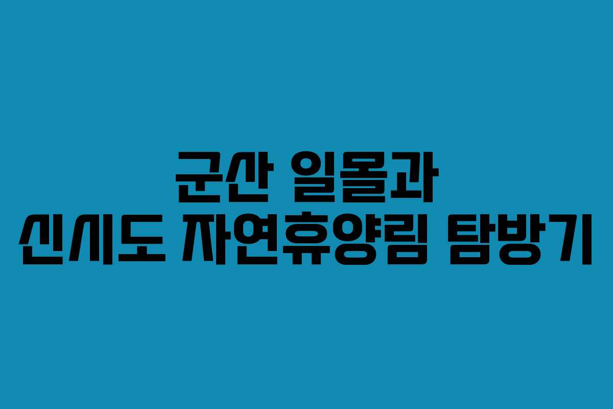군산 일몰과 신시도 자연휴양림 탐방기