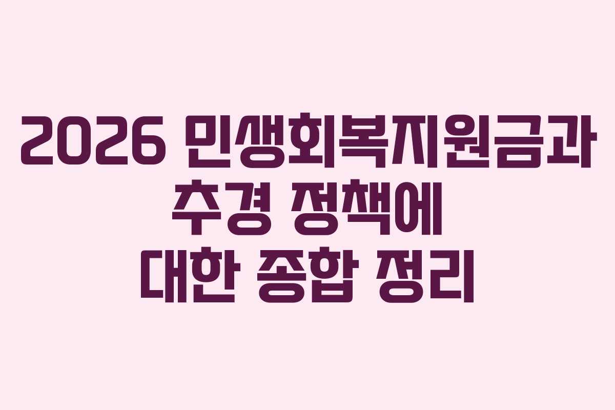 2026 민생회복지원금과 추경 정책에 대한 종합 정리
