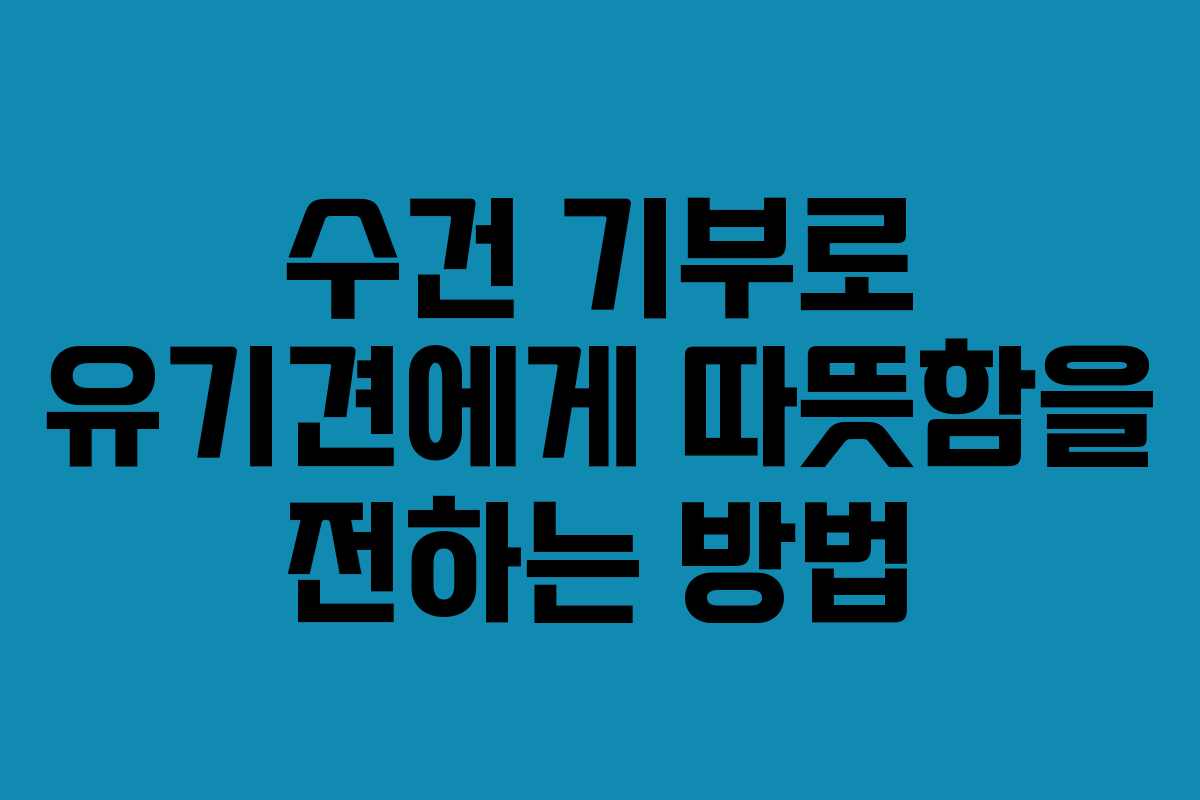 수건 기부로 유기견에게 따뜻함을 전하는 방법