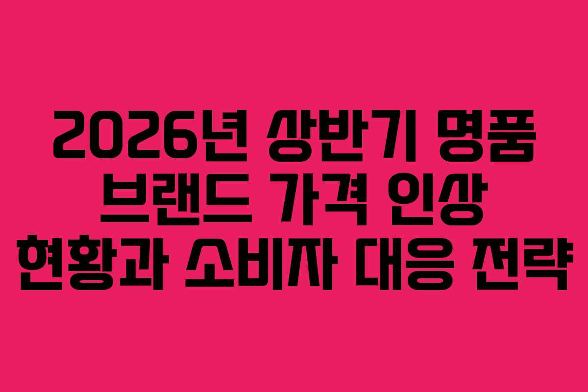 2026년 상반기 명품 브랜드 가격 인상 현황과 소비자 대응 전략