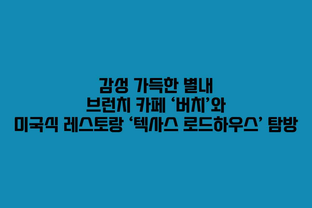 감성 가득한 별내 브런치 카페 ‘버치’와 미국식 레스토랑 ‘텍사스 로드하우스’ 탐방