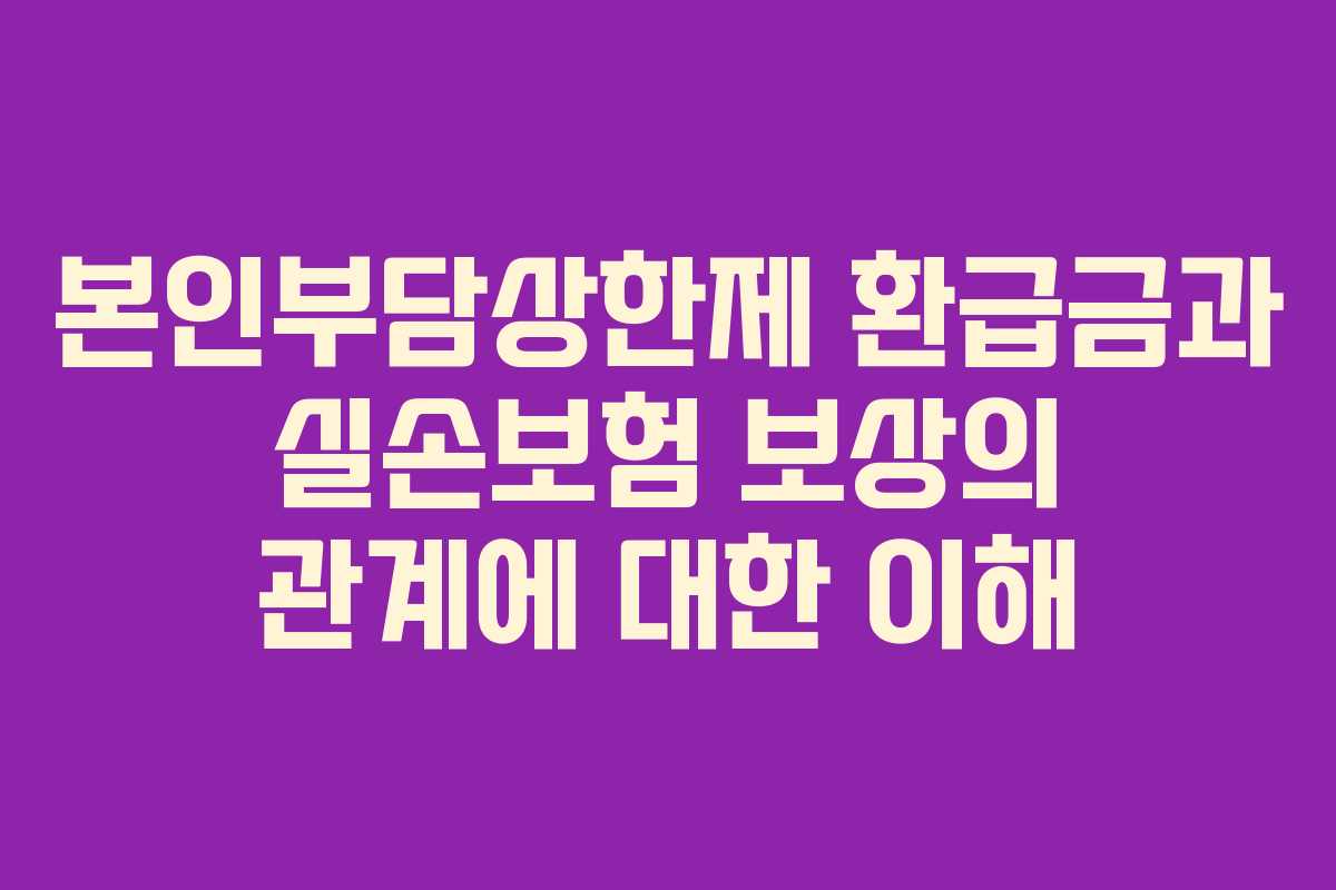 본인부담상한제 환급금과 실손보험 보상의 관계에 대한 이해