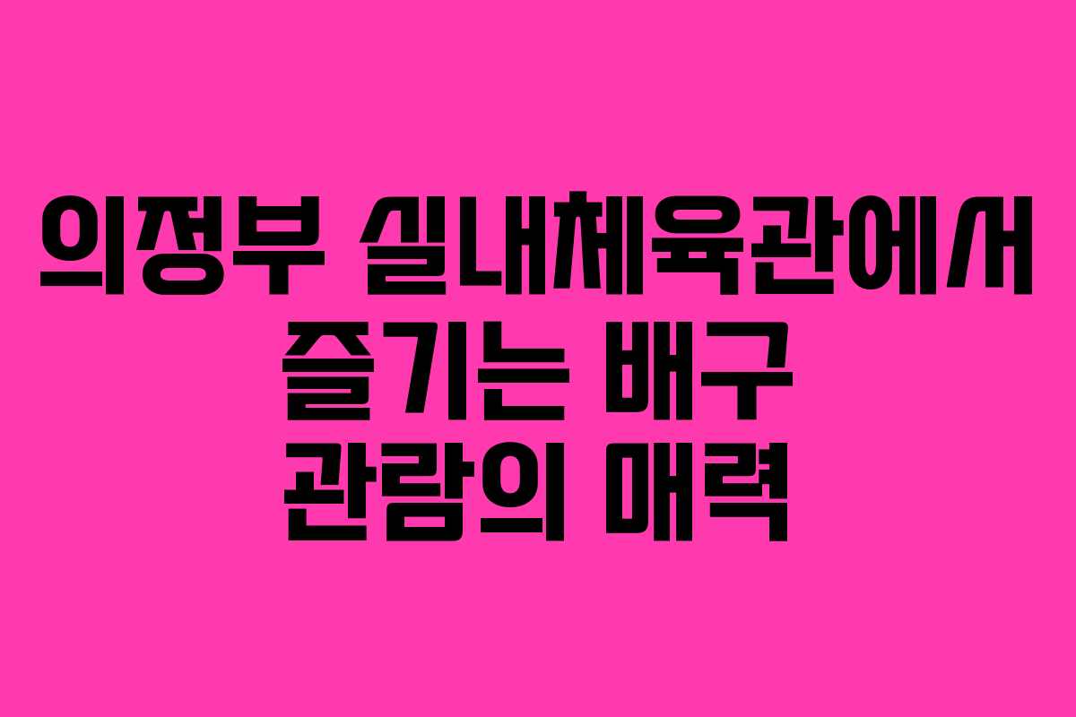 의정부 실내체육관에서 즐기는 배구 관람의 매력