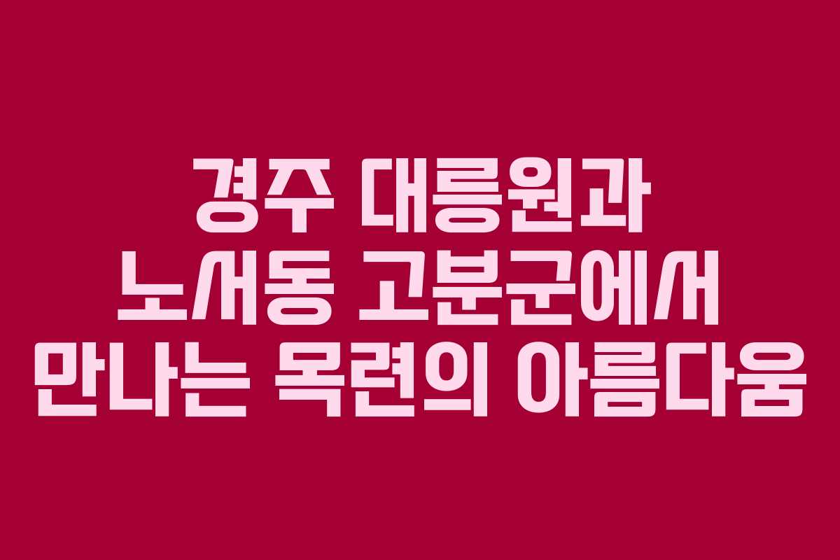 경주 대릉원과 노서동 고분군에서 만나는 목련의 아름다움