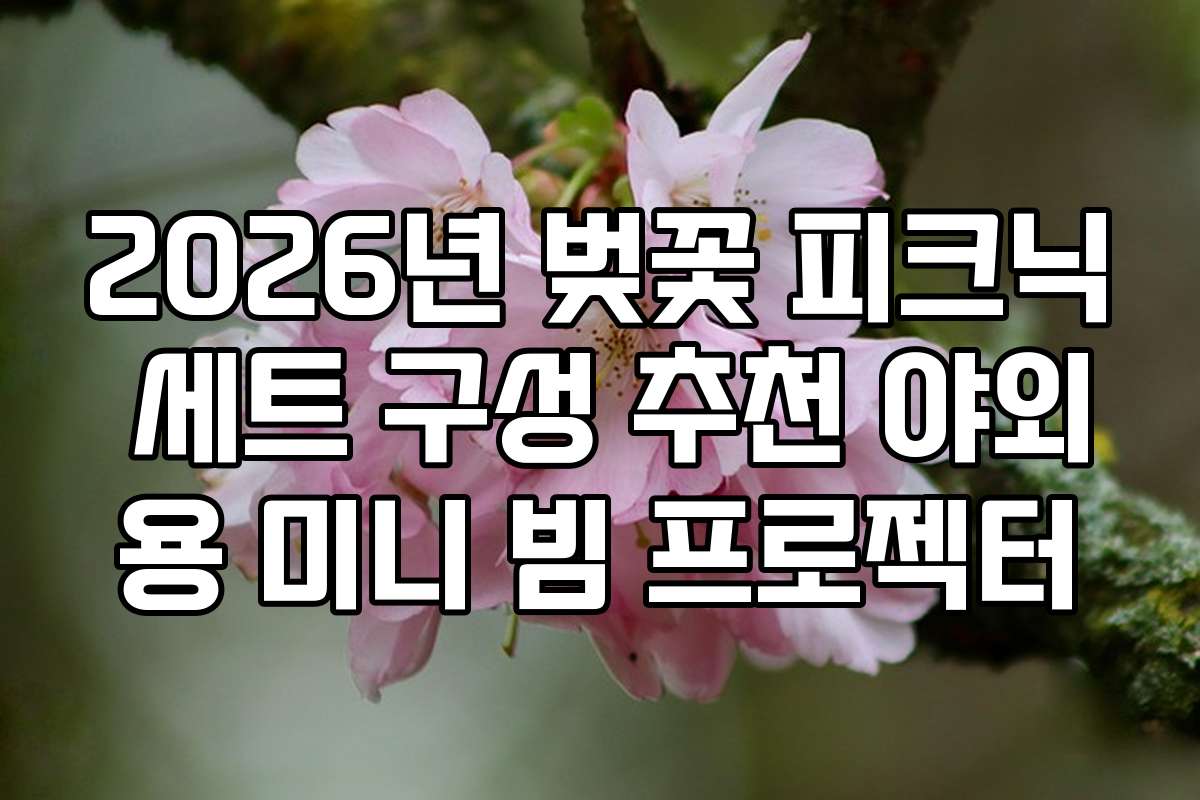 2026년 벚꽃 피크닉 세트 구성 추천 야외용 미니 빔 프로젝터