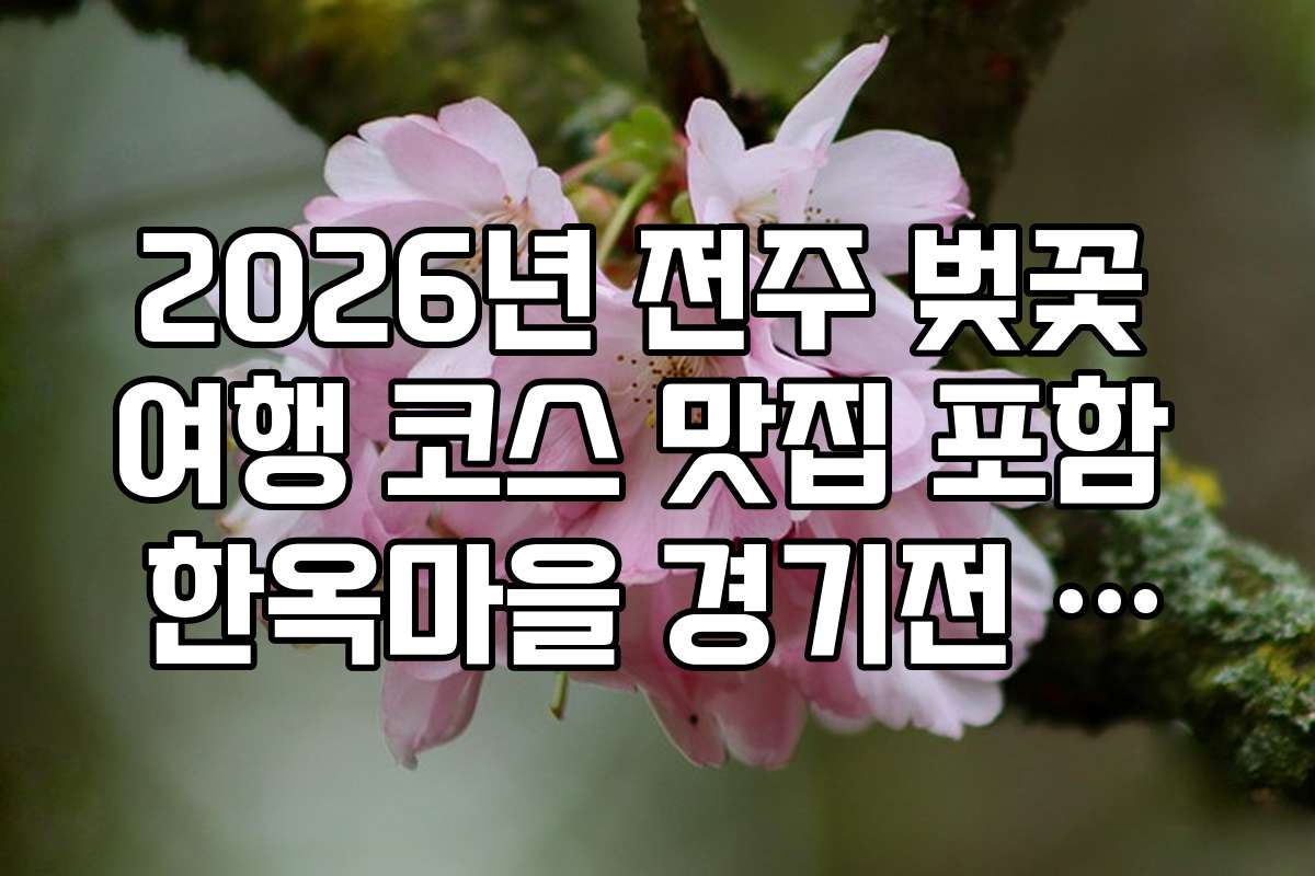 2026년 전주 벚꽃 여행 코스 맛집 포함 한옥마을 경기전 벚꽃 사진 명당