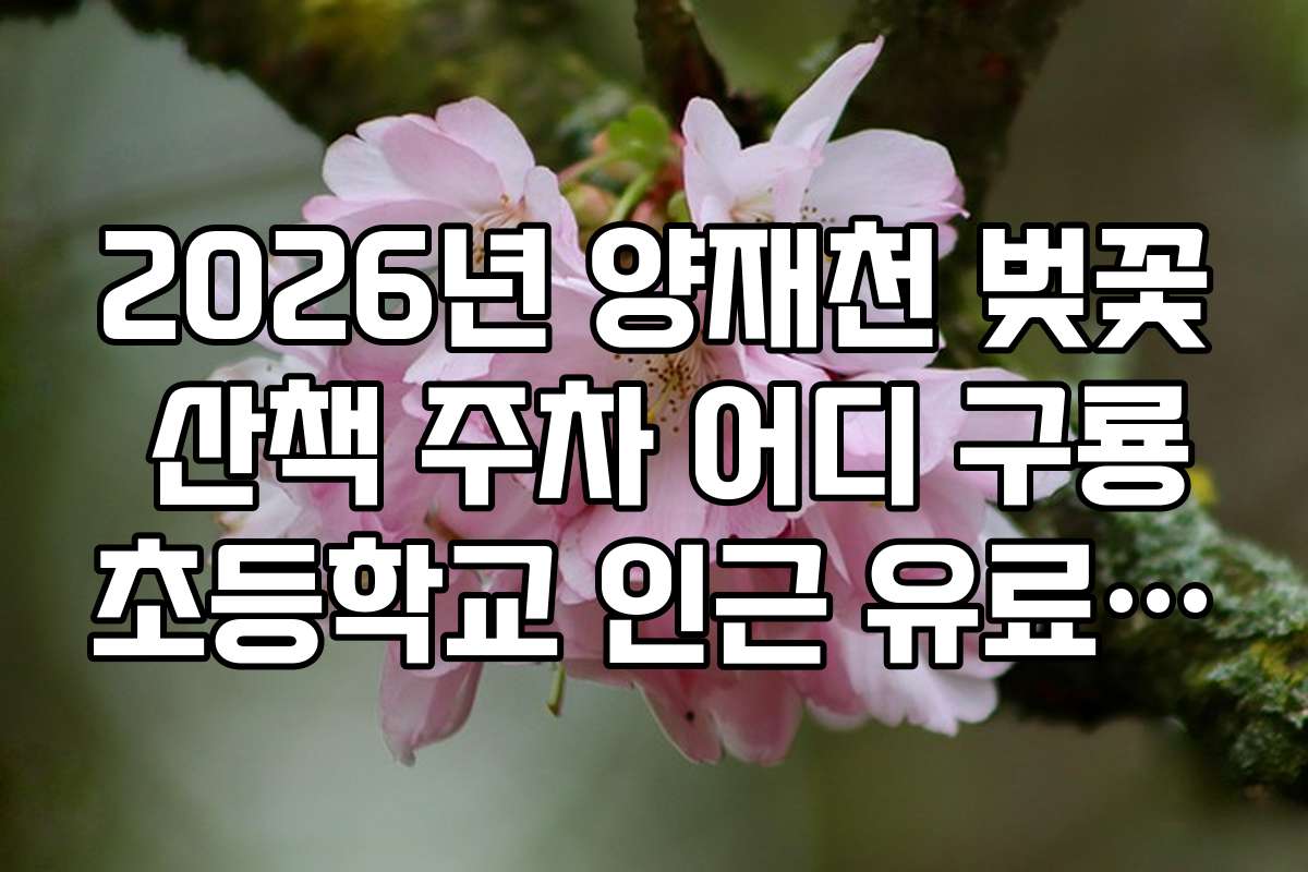 2026년 양재천 벚꽃 산책 주차 어디 구룡초등학교 인근 유료 주차
