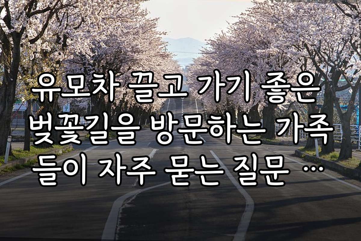 유모차 끌고 가기 좋은 벚꽃길을 방문하는 가족들이 자주 묻는 질문 모음