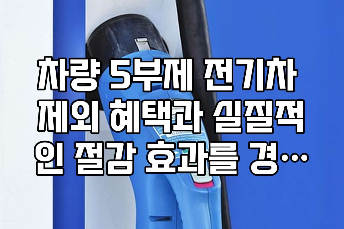 차량 5부제 전기차 제외 혜택과 실질적인 절감 효과를 경험한 후기 모음