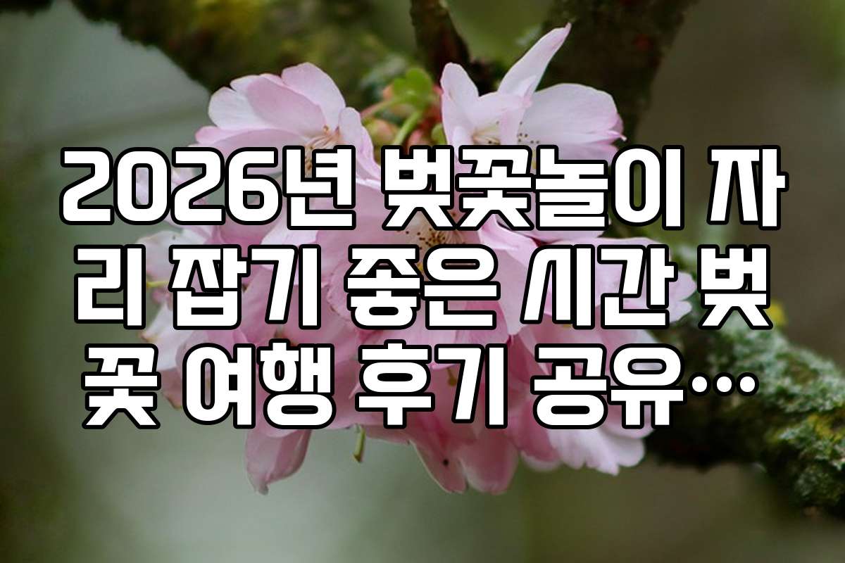 2026년 벚꽃놀이 자리 잡기 좋은 시간 벚꽃 여행 후기 공유하고 선물 받기