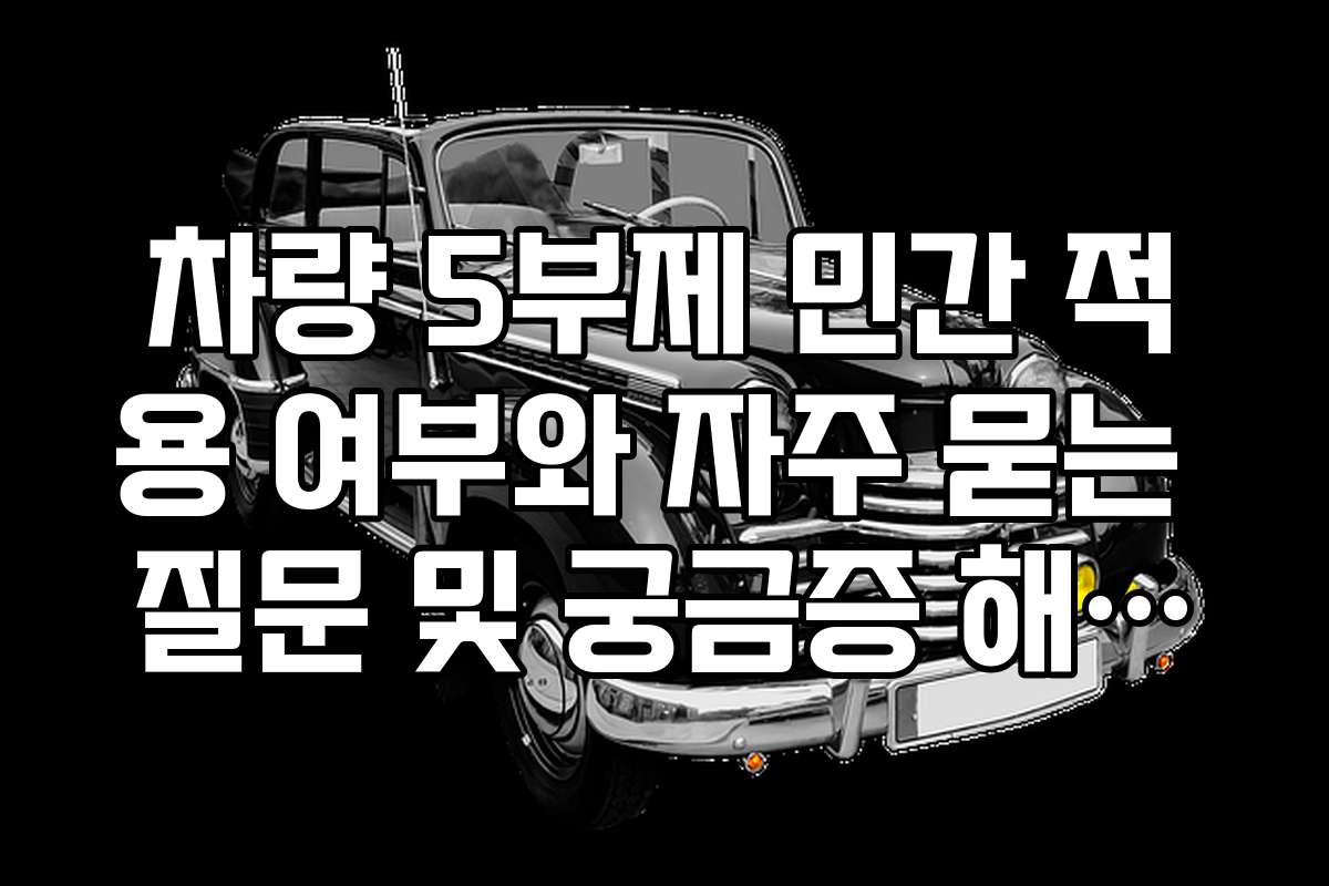 차량 5부제 민간 적용 여부와 자주 묻는 질문 및 궁금증 해소하기