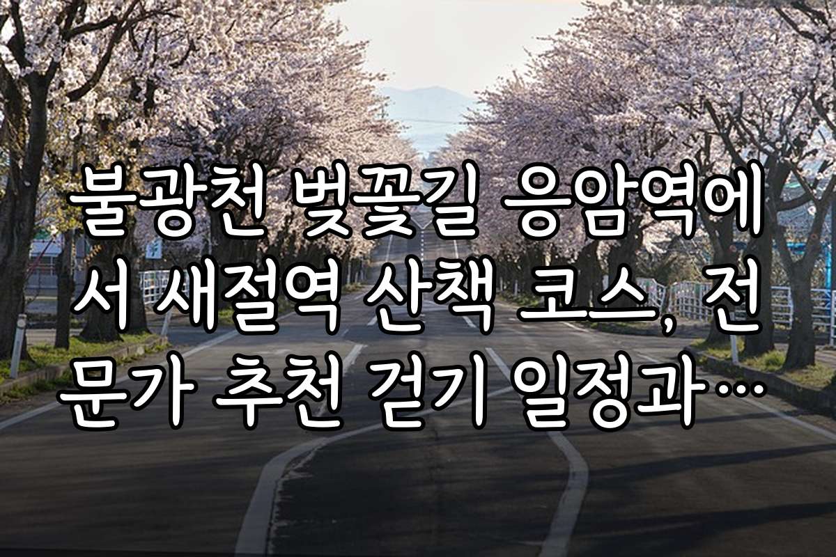 불광천 벚꽃길 응암역에서 새절역 산책 코스, 전문가 추천 걷기 일정과 루트 정보