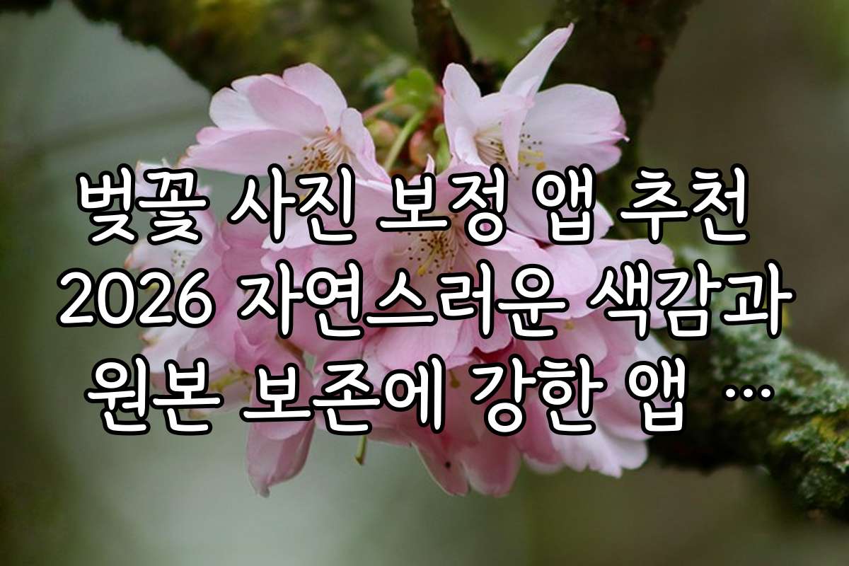 벚꽃 사진 보정 앱 추천 2026 자연스러운 색감과 원본 보존에 강한 앱 추천