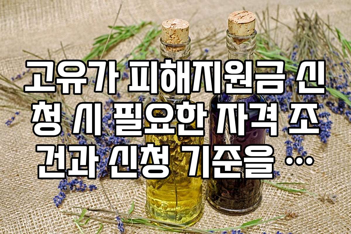 고유가 피해지원금 신청 시 필요한 자격 조건과 신청 기준을 상세히 비교 분석