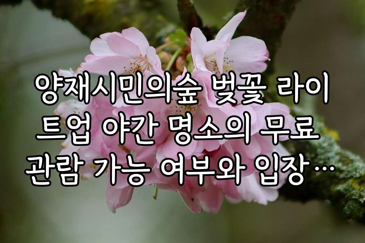 양재시민의숲 벚꽃 라이트업 야간 명소의 무료 관람 가능 여부와 입장 요금을 비교해 보세요