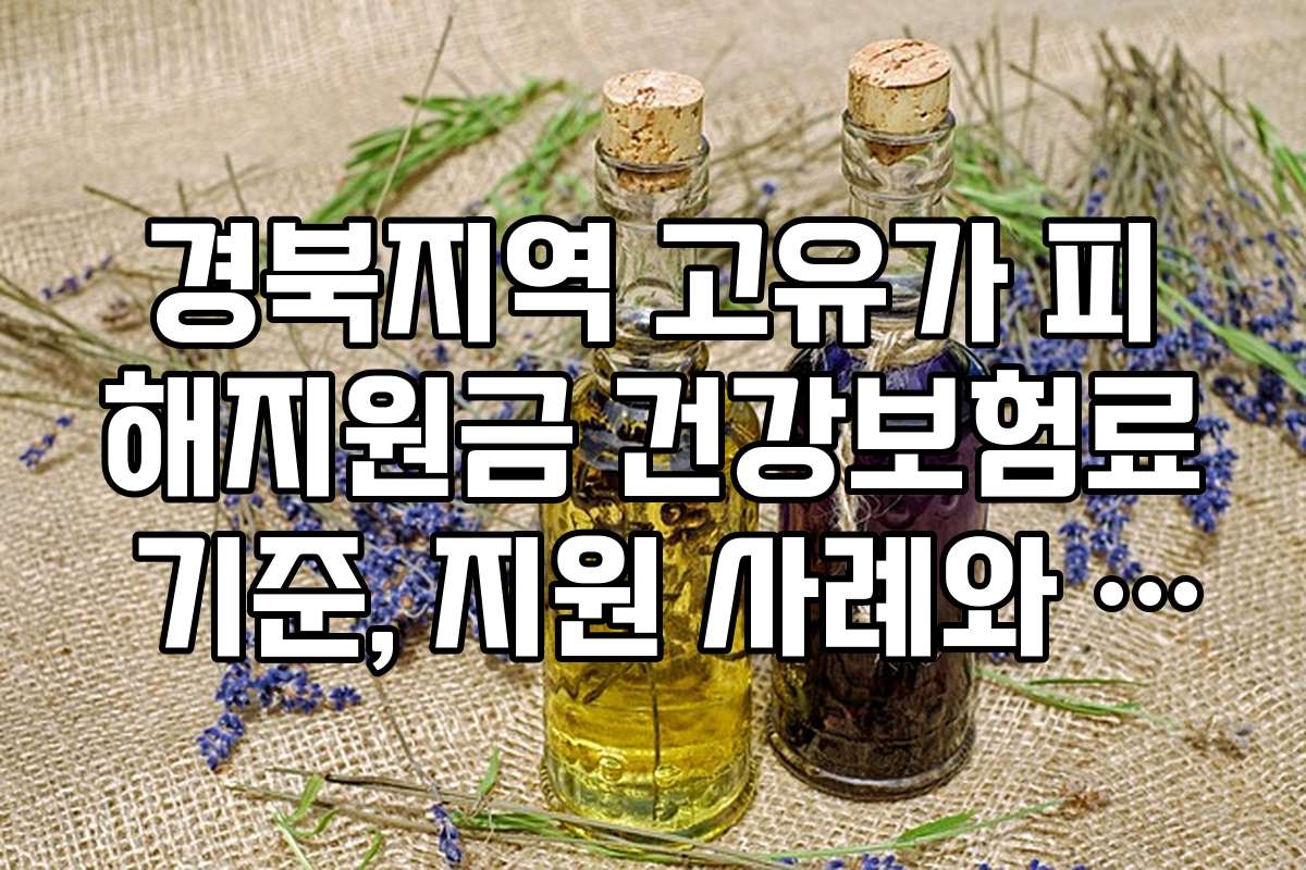 경북지역 고유가 피해지원금 건강보험료 기준, 지원 사례와 후기 모음