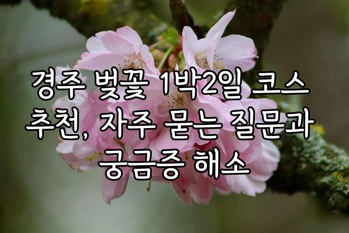 경주 벚꽃 1박2일 코스 추천, 자주 묻는 질문과 궁금증 해소