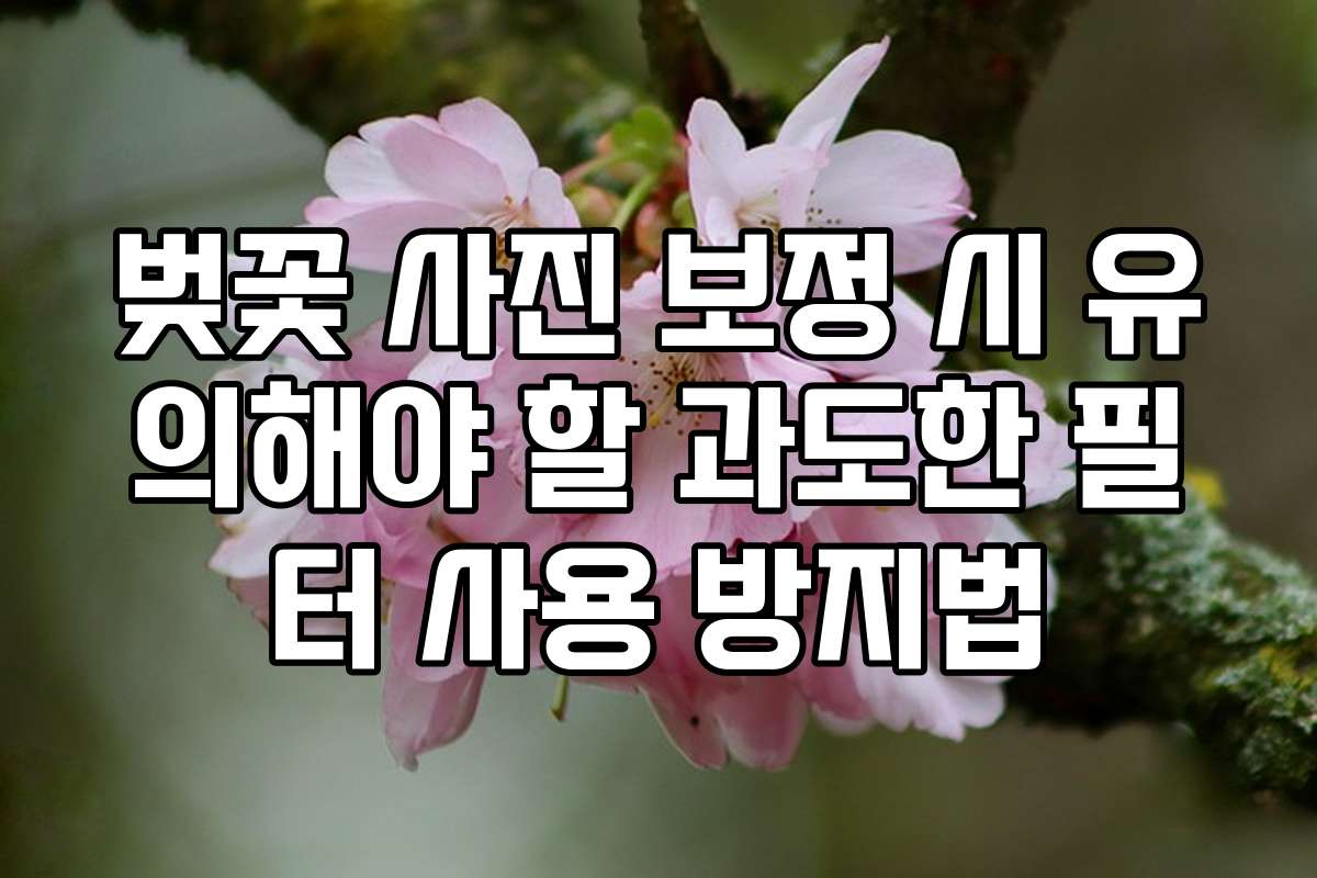 벚꽃 사진 보정 시 유의해야 할 과도한 필터 사용 방지법