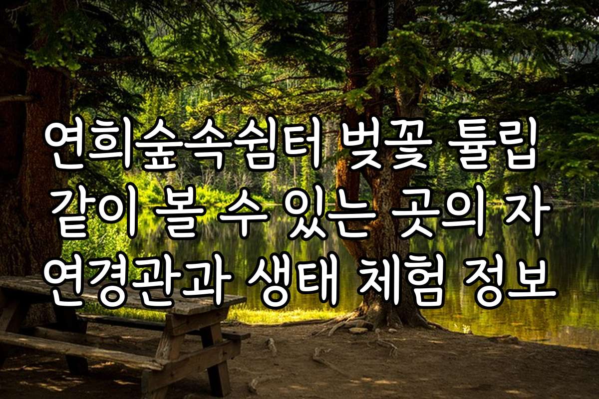연희숲속쉼터 벚꽃 튤립 같이 볼 수 있는 곳의 자연경관과 생태 체험 정보