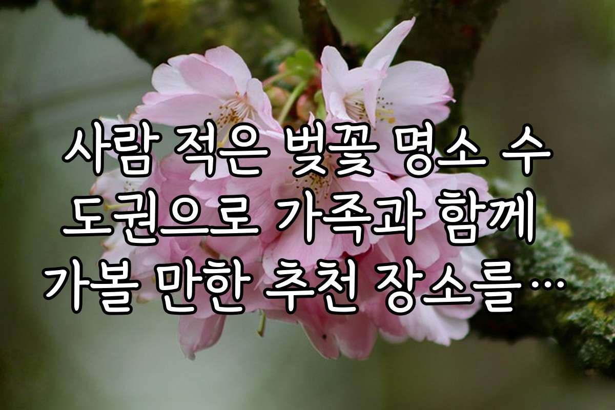 사람 적은 벚꽃 명소 수도권으로 가족과 함께 가볼 만한 추천 장소를 소개합니다