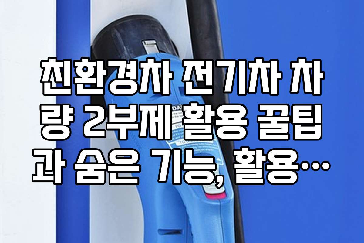 친환경차 전기차 차량 2부제 활용 꿀팁과 숨은 기능, 활용법을 소개한다