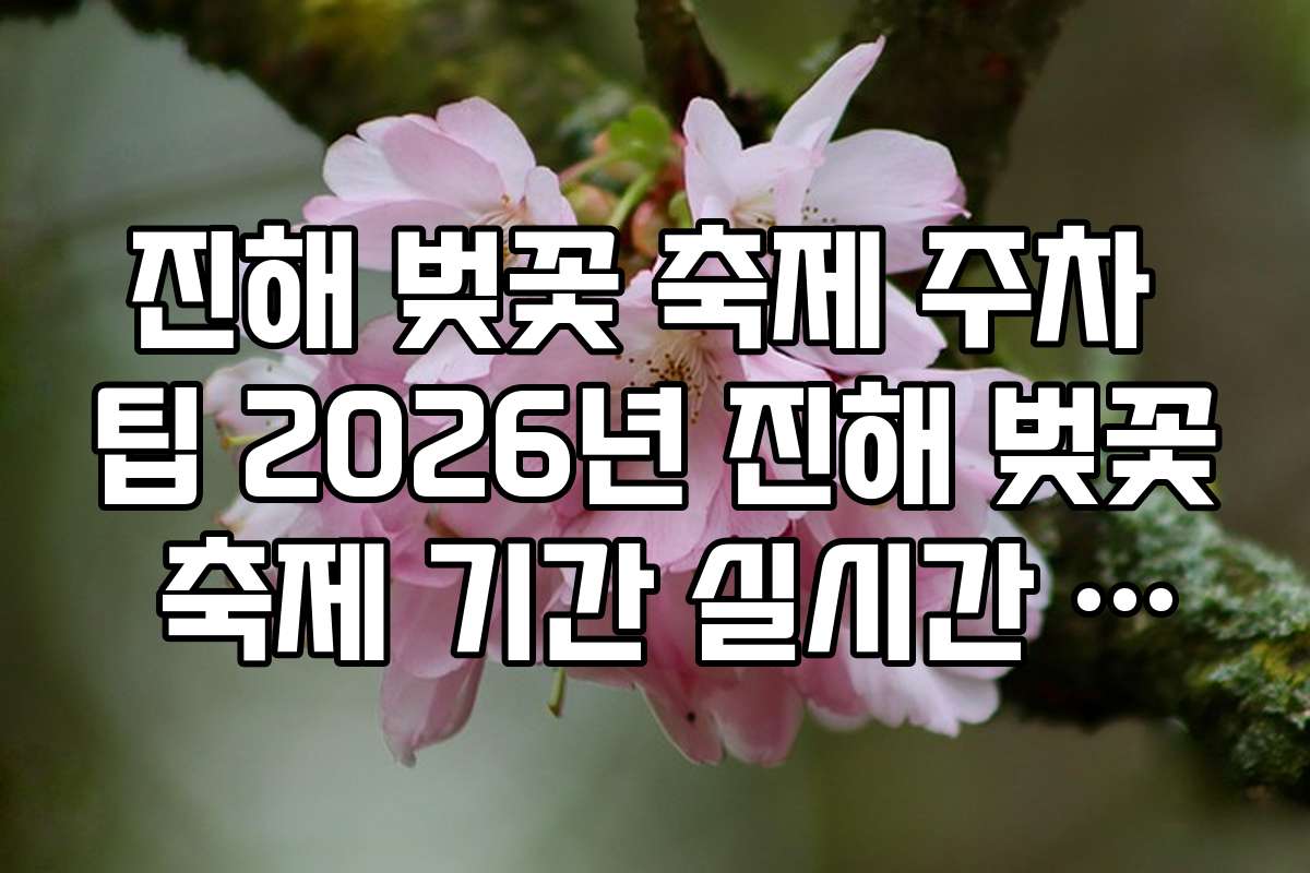 진해 벚꽃 축제 주차 팁 2026년 진해 벚꽃 축제 기간 실시간 주차 정보 앱