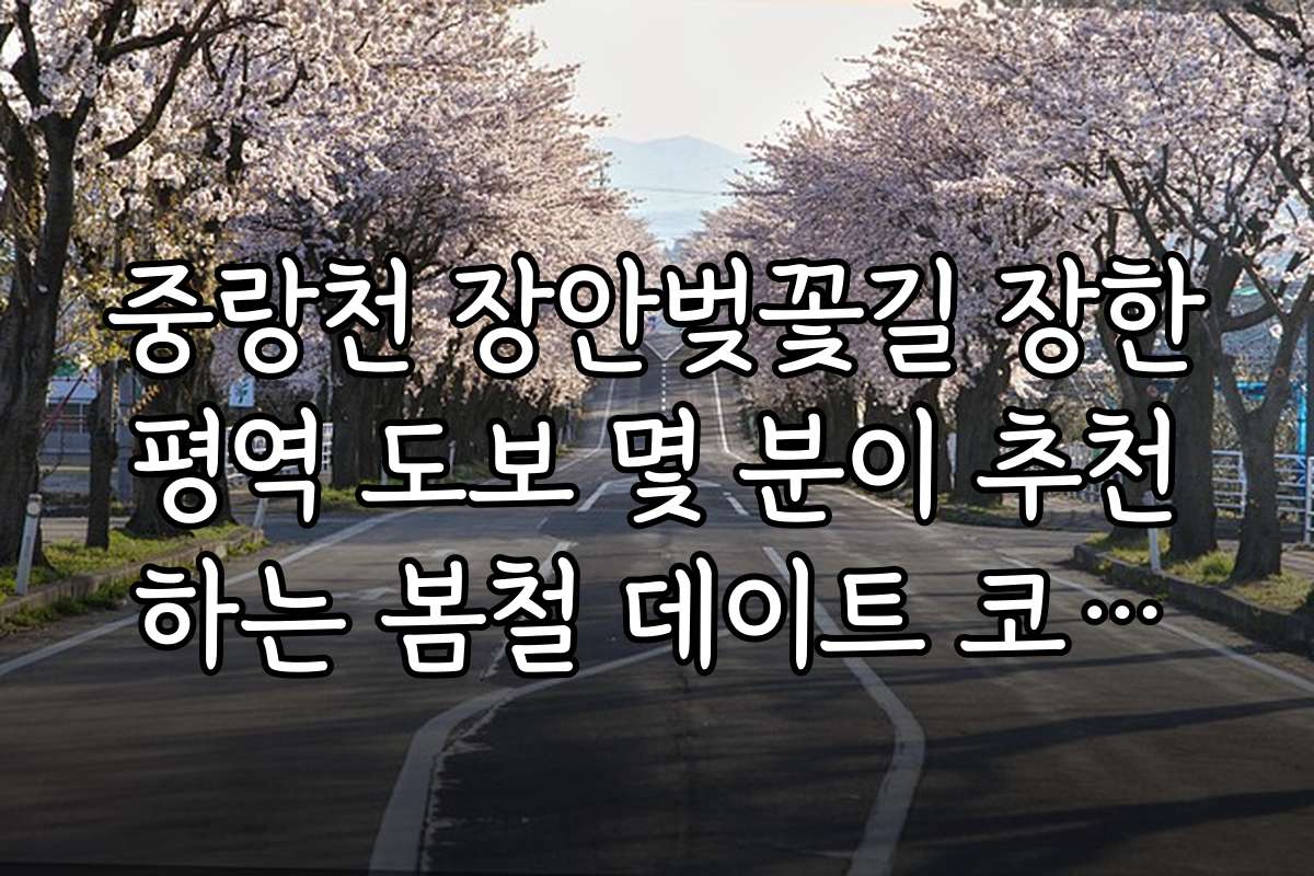 중랑천 장안벚꽃길 장한평역 도보 몇 분이 추천하는 봄철 데이트 코스와 팁