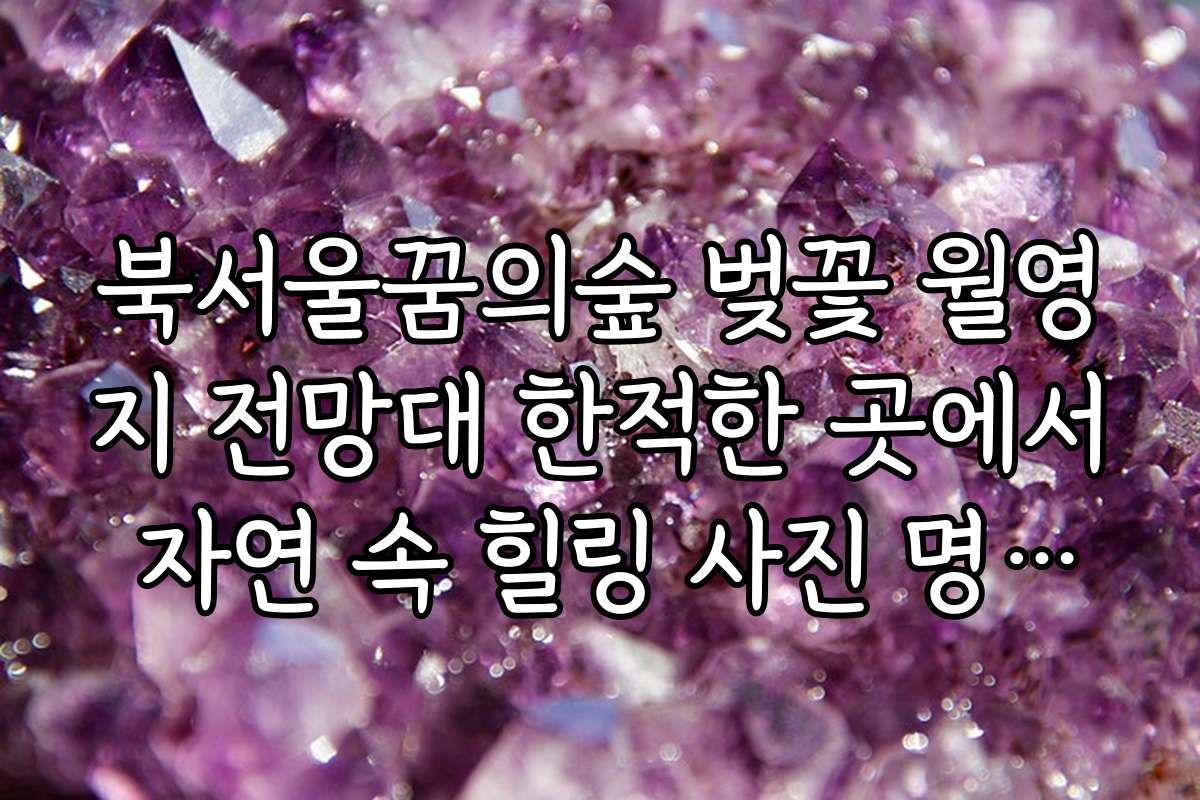 북서울꿈의숲 벚꽃 월영지 전망대 한적한 곳에서 자연 속 힐링 사진 명소와 포인트