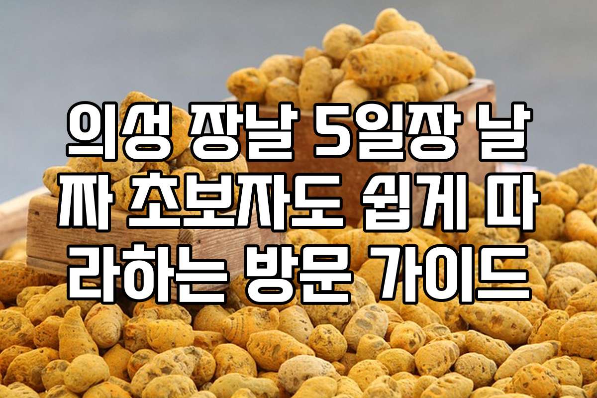 의성 장날 5일장 날짜 초보자도 쉽게 따라하는 방문 가이드