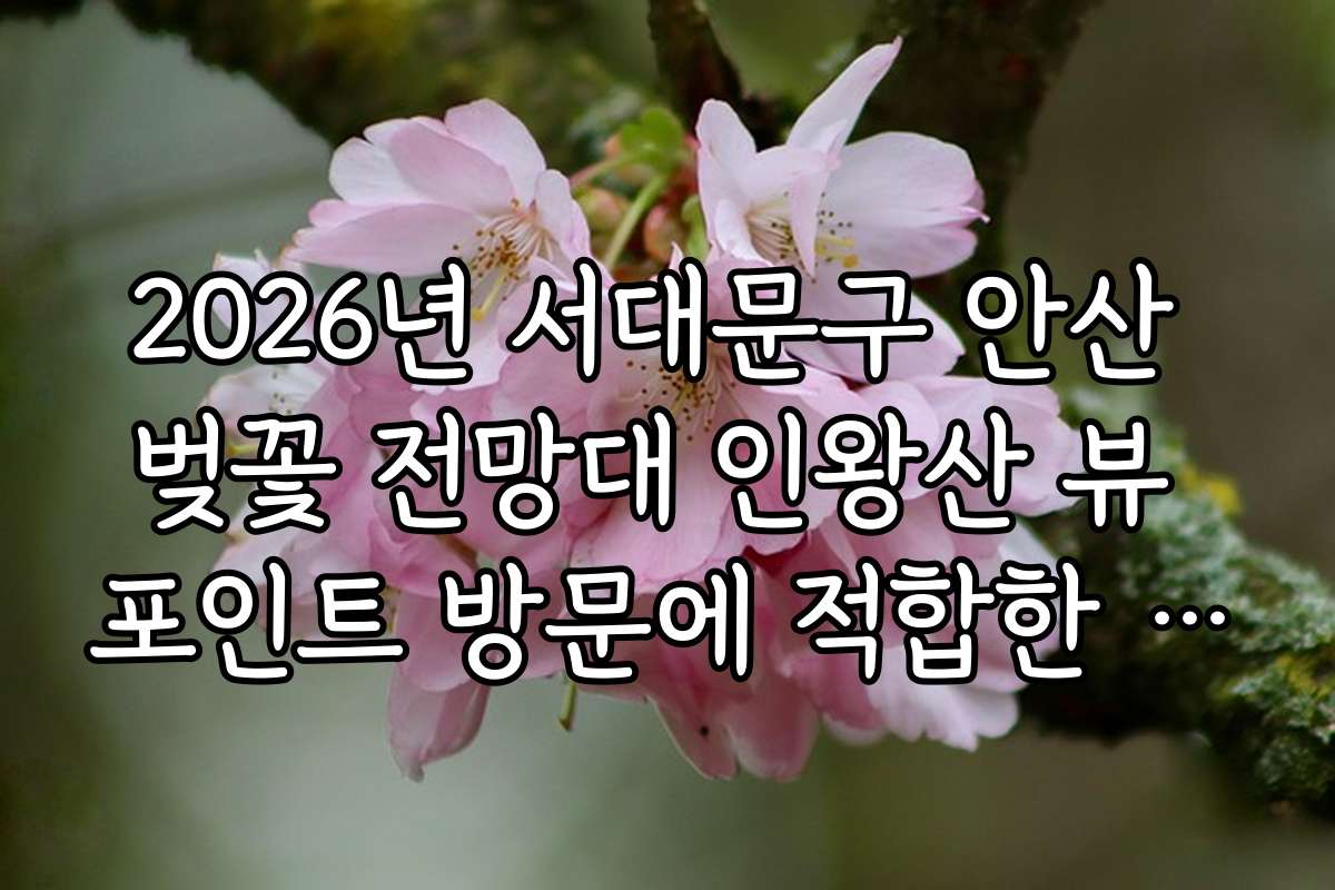 2026년 서대문구 안산 벚꽃 전망대 인왕산 뷰 포인트 방문에 적합한 최적의 날짜와 일정은 언제일까