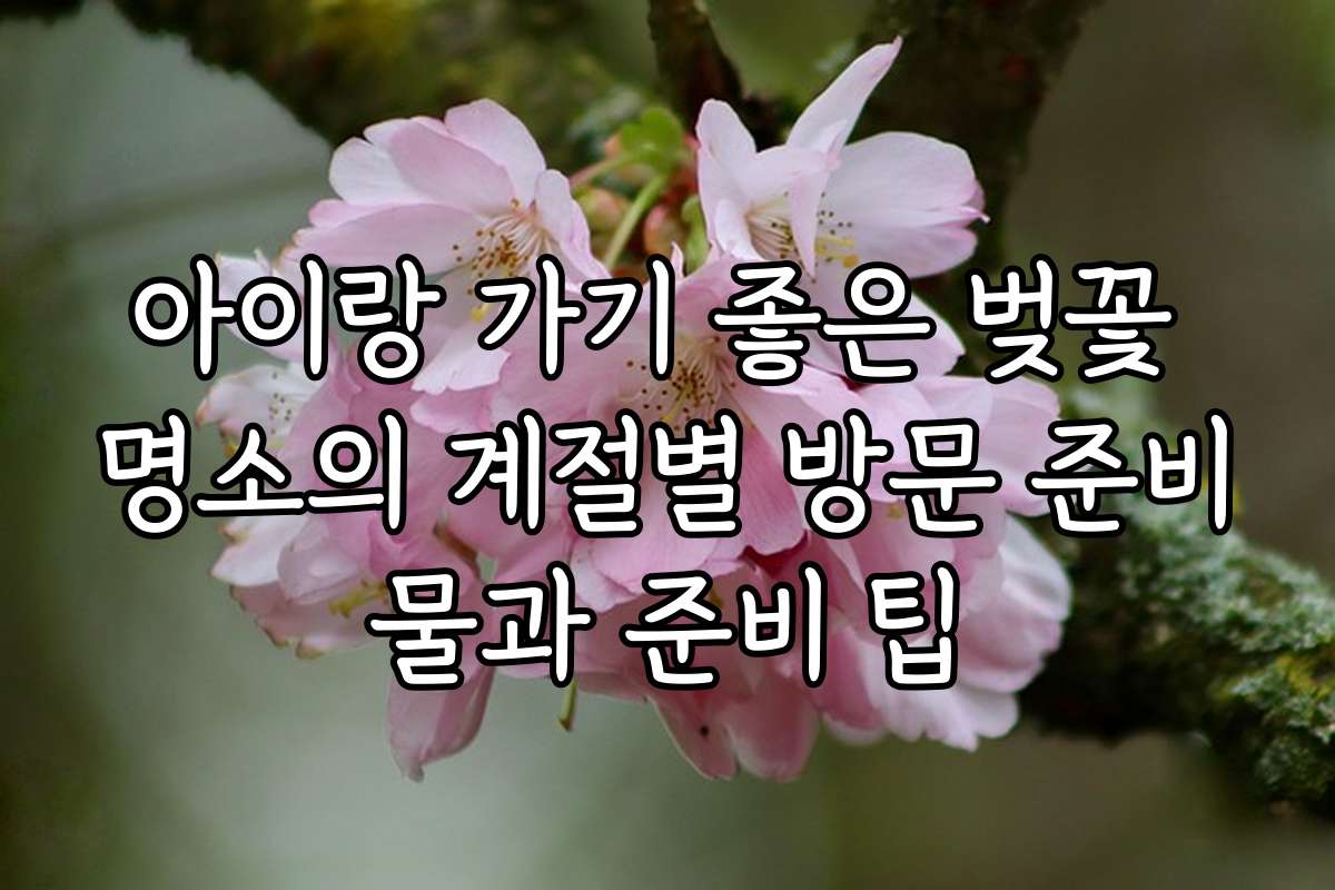 아이랑 가기 좋은 벚꽃 명소의 계절별 방문 준비물과 준비 팁
