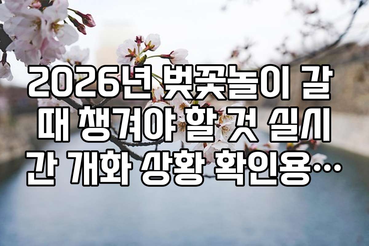 2026년 벚꽃놀이 갈 때 챙겨야 할 것 실시간 개화 상황 확인용 탭