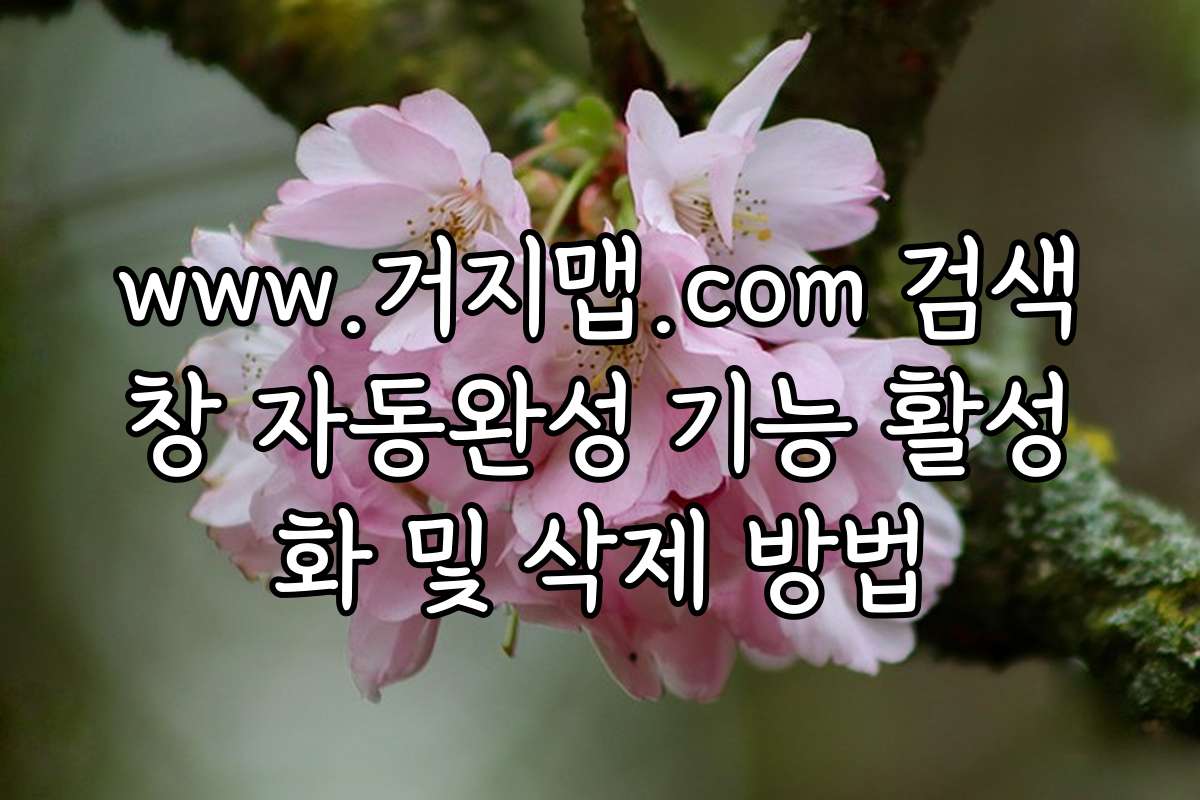 www.거지맵.com 검색창 자동완성 기능 활성화 및 삭제 방법