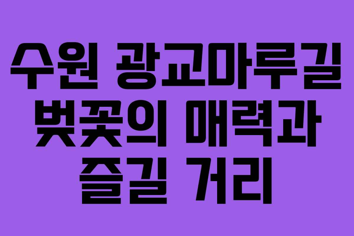 수원 광교마루길 벚꽃의 매력과 즐길 거리