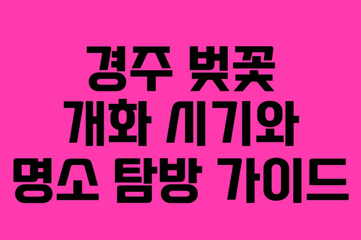 경주 벚꽃 개화 시기와 명소 탐방 가이드